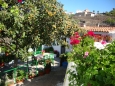 affito casa rurale tenerife sur