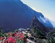 case per le vacanze privato tenerife