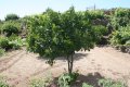 rent a house in tenerife south